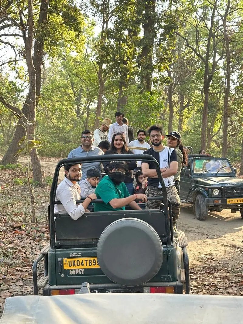 Jeep in forest, rear view: Group riding in an open-top safari jeep through a forest, photographed from behind alongside a second jeep.